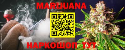 МДПВ Кингисепп