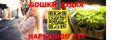 сатива Кинель
