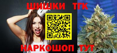 МДПВ Кингисепп